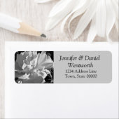 Blume Address Labels White Rose (Insitu)