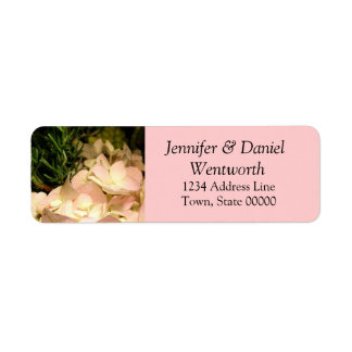 Blume Adresse Labels Pink Hydrangea