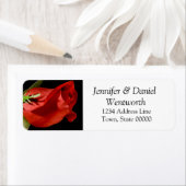 Blume-Adressmarken Rote Rose (Insitu)