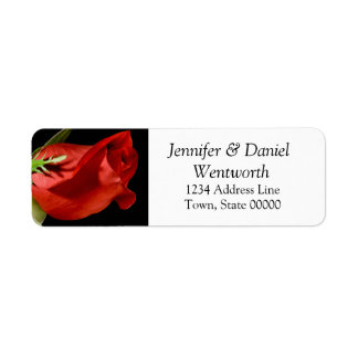 Blume-Adressmarken Rote Rose