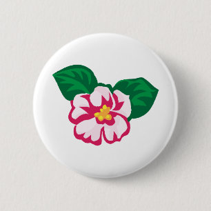 Blume Afrikanische Violetten Grüne Blätter Blumenb Button