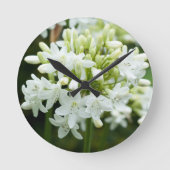 Blume Agapanthus Runde Wanduhr (Vorderseite)