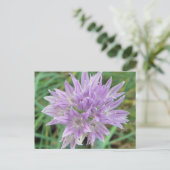 Blume Allium Schoenoprasum Postkarte (Stehend Vorderseite)