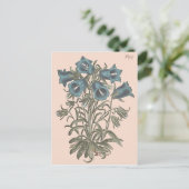 Blume Alpen Bell Postkarte (Stehend Vorderseite)
