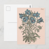 Blume Alpen Bell Postkarte (Vorne/Hinten)