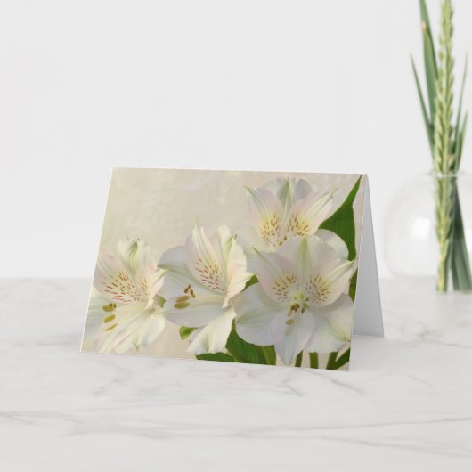 Blume Alstomeria Feiertagskarte (Vorderseite)