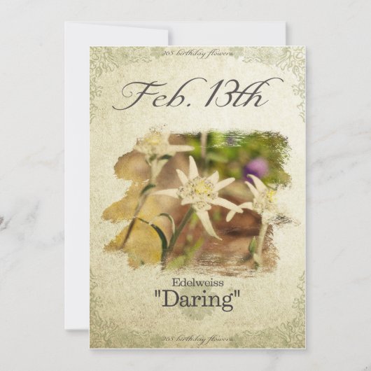 Blume am 13. Februar "Edelweiss" Karte (Vorderseite)