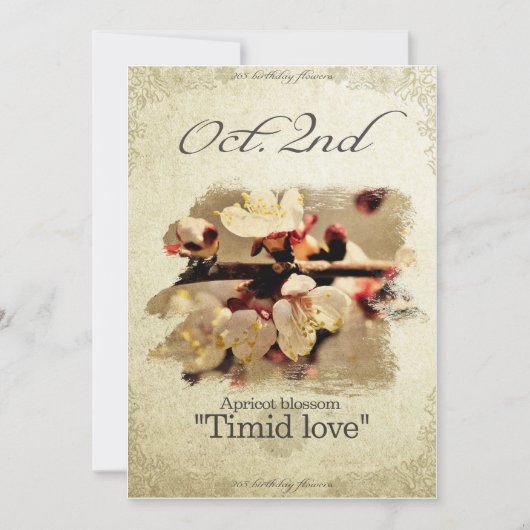 Blume am 2. Oktober "Apricot blüte" Karte (Vorderseite)