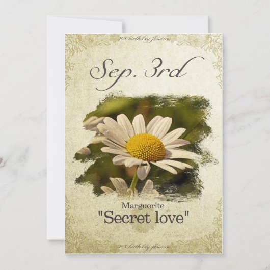 Blume am 3. September "Marguerite" Karte (Vorderseite)