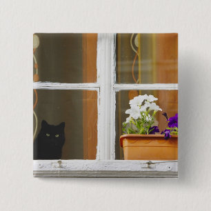 Blume am Fenster, Sighisoara, Rumänien Button