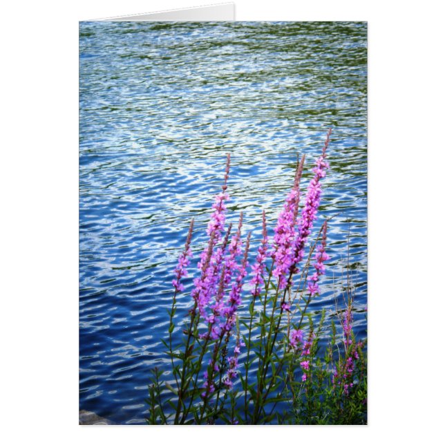 "Blume am langen Teich" (Vorne)