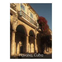 Blume am Plaza de la Catedral, Havanna Poster