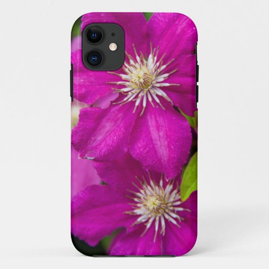Blume am Robinette's Apple Haus und Geschenkbühne Case-Mate iPhone Hülle (Rückseite)