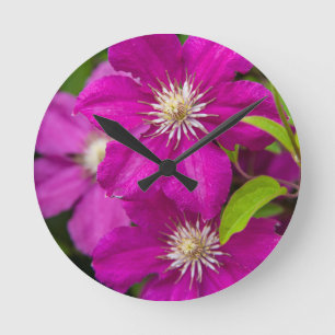 Blume am Robinette's Apple Haus und Geschenkbühne Runde Wanduhr