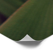 Blume am Strand Poster (Ecke)