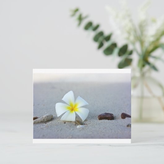 Blume am Strand Postkarte (Stehend Vorderseite)