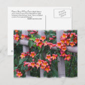 Blume am Zaun Postkarte (Vorne/Hinten)