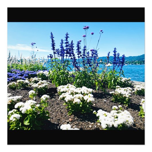 Blume am Zürichsee Fotodruck (Vorne)