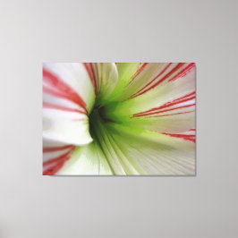 Blume Amaryllis Kunst, Dichtung und Musik Leinwanddruck