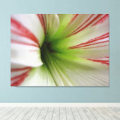 Blume Amaryllis Kunst, Dichtung und Musik Leinwanddruck (Insitu (Holzboden))