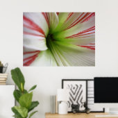Blume Amaryllis Kunst, Dichtung und Musik Poster (Heimbüro)