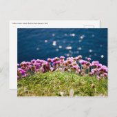 Blume an den Klippen der Moher Postkarte (Vorne/Hinten)