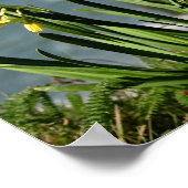 Blume an der Pazifikküste, Abbildung 1 von 2 Poster (Ecke)