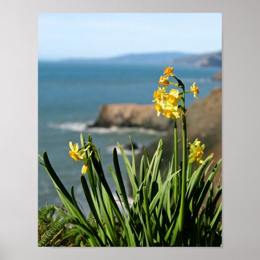 Blume an der Pazifikküste, Abbildung 1 von 2 Poster (Vorne)