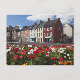 Blume an einer Straße in einem Wohnviertel Postkarte