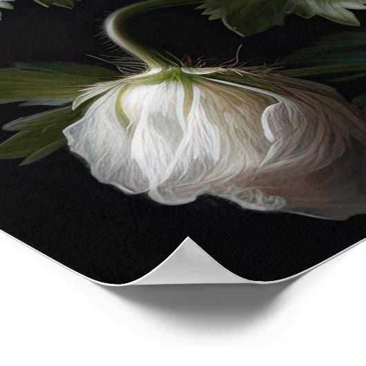 Blume Anemone Poster (Ecke)