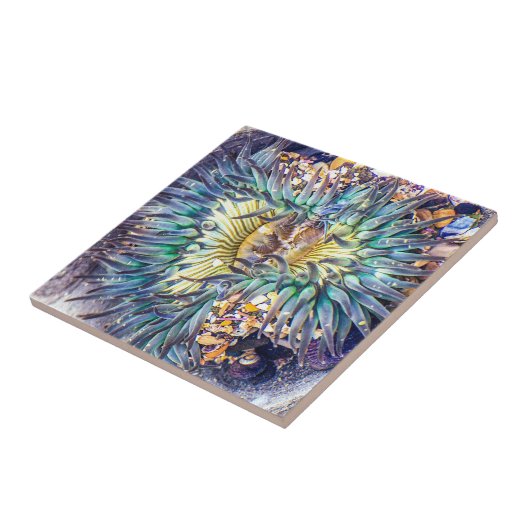 Blume Aqua & Gelbes Meer Anemone im Wasser Fliese (Seite)