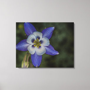 Blume Aquarellfotografie Wohngestaltung Leinwanddruck