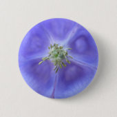 Blume Aquilegia Button (Vorderseite)