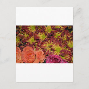 Blume Arrangements Mums buntes Schicksal Postkarte