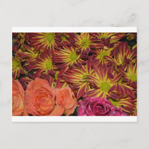 Blume Arrangements Mums buntes Schicksal Postkarte