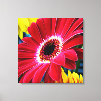 Blume Art. 1 überzogene Canvas Leinwanddruck
