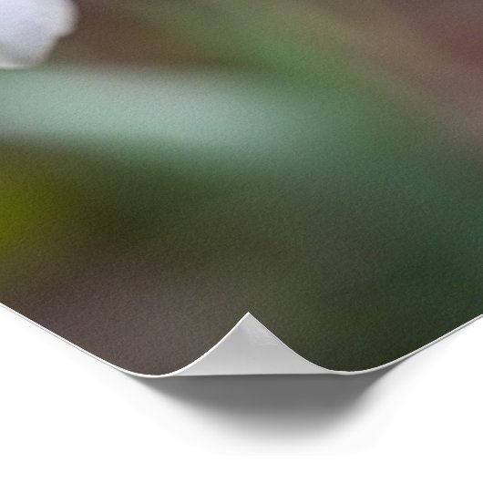 Blume Art Ladybug Gallery Poster (Ecke)