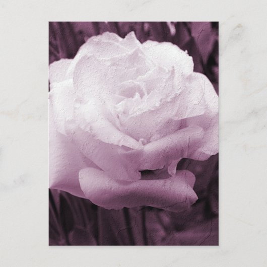 Blume Art Postkarte (Vorderseite)