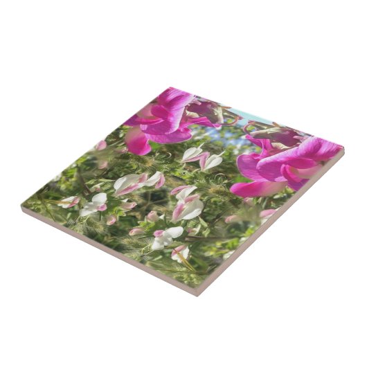 Blume Art Tile Fliese (Seite)
