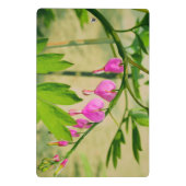 Blume Asiatische Blutungen Mini Klemmbrett (Rückseite)