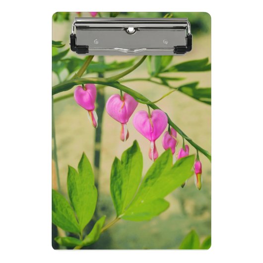 Blume Asiatische Blutungen Mini Klemmbrett (Vorderseite)