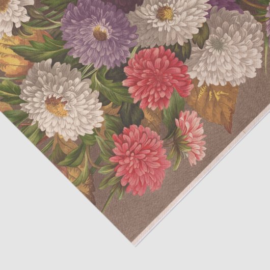 Blume Asters von Ellen Robbins Seidenpapier (Ausschnitt)