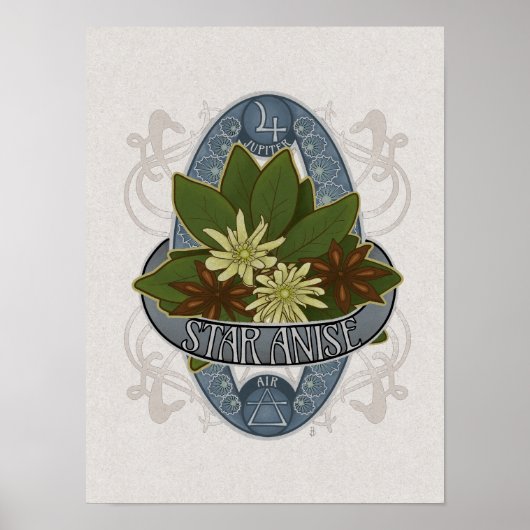 Blume Astrologie und Magisches Poster - Star Anise (Vorne)