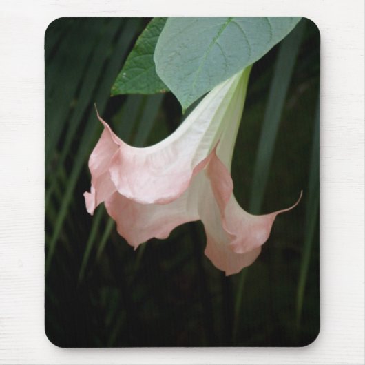 Blume auf Baum Mousepad (Vorne)