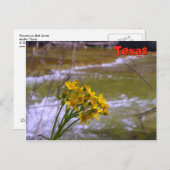 Blume auf Bull Creek Postkarte (Vorne/Hinten)