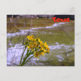 Blume auf Bull Creek Postkarte