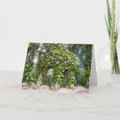 Blume auf dem Alten Pergola Garten Kunst-Karte Karte (Vorderseite)