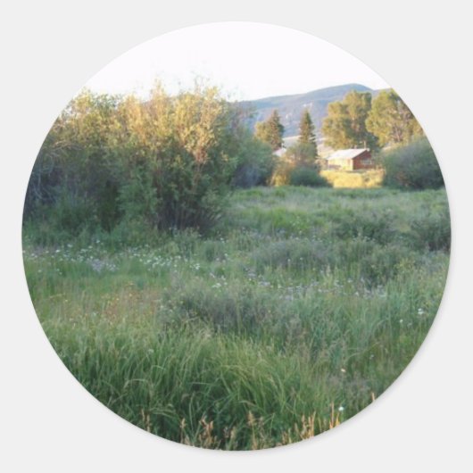 Blume auf dem Colorado-Aufkleber Runder Aufkleber (Vorderseite)