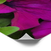 Blume auf dem Gehweg Poster (Ecke)