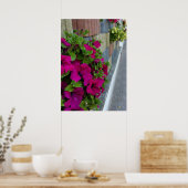 Blume auf dem Gehweg Poster (Küche)